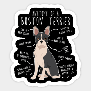 Boston Terrier Dog Anatomy Sticker